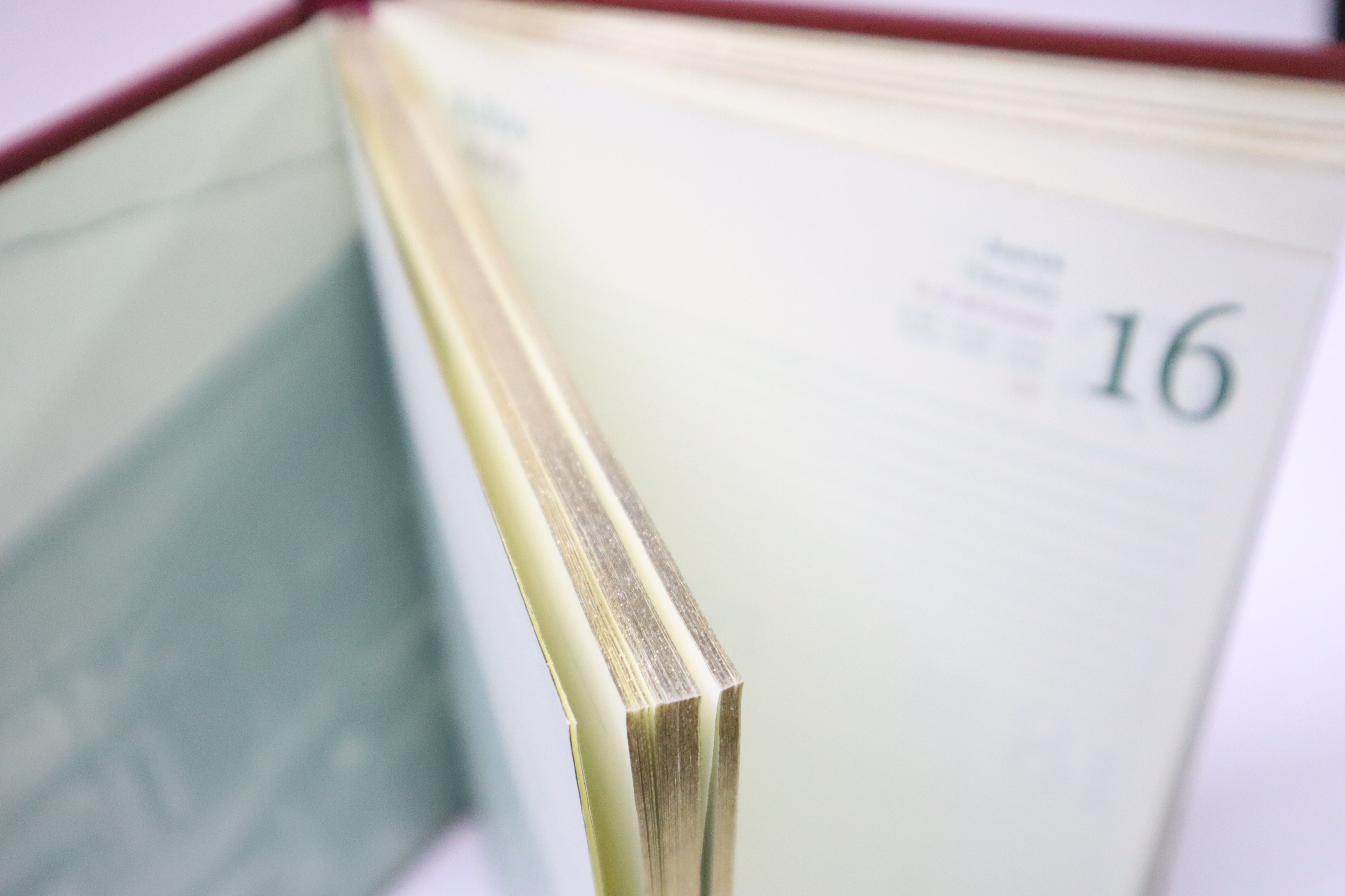 AGENDA ISOFIT EJECUTIVA DOR/BURDEO