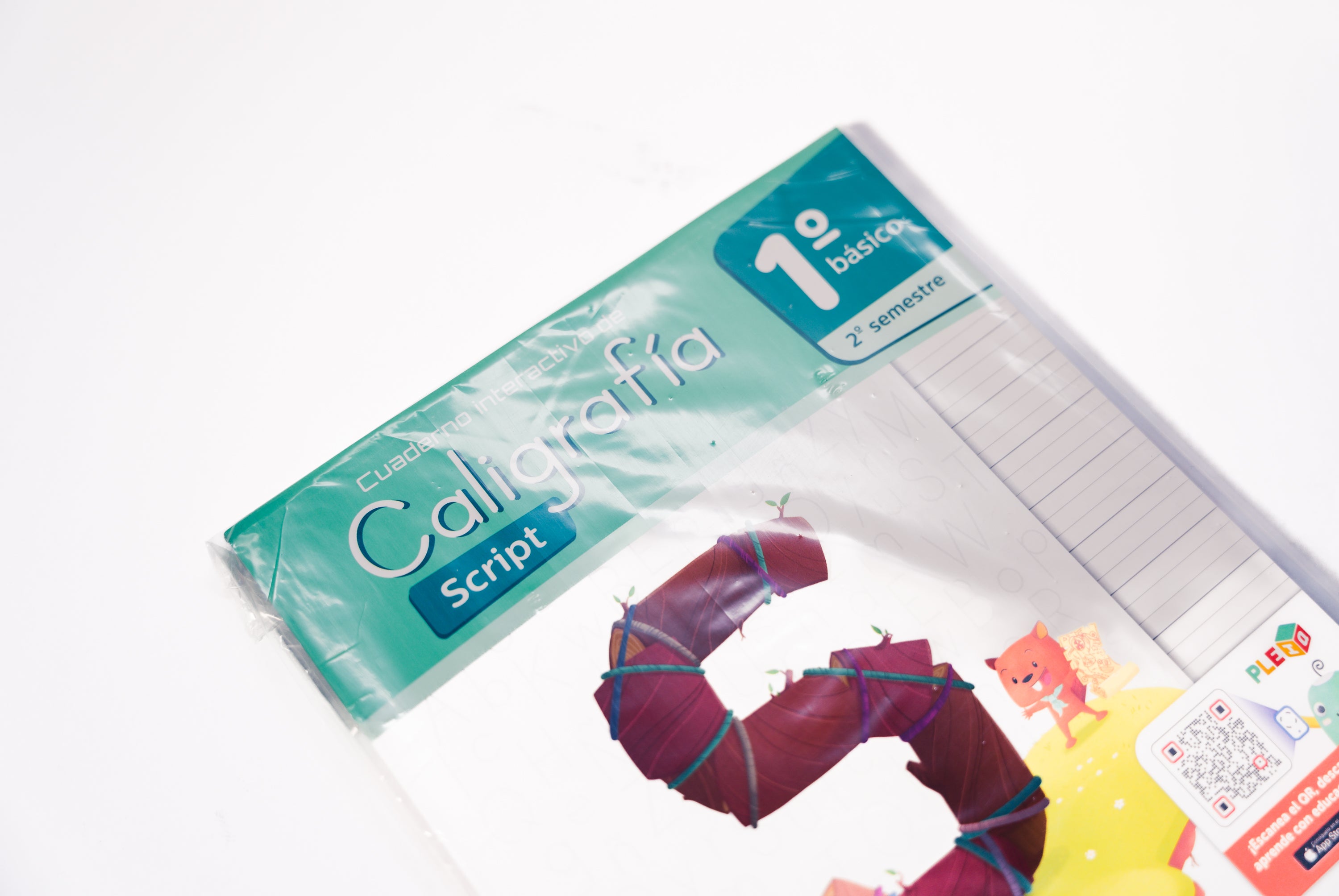 CALIGRAFIX 1° BASICO 2° SEMESTRE SCRIPT