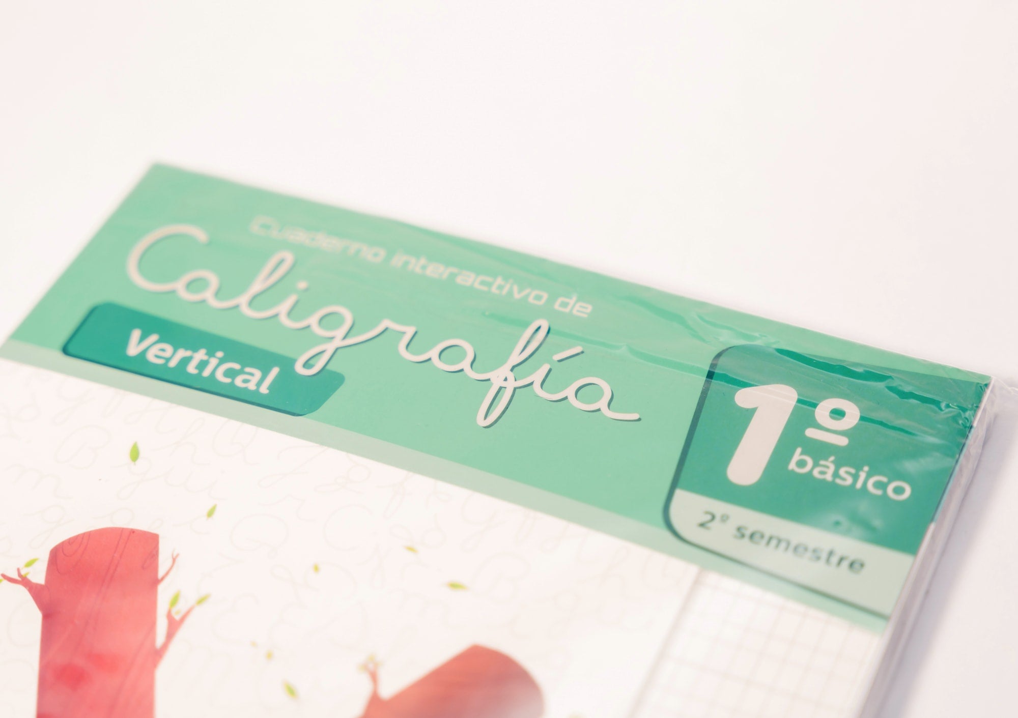 CALIGRAFIX 1° Básico Vertical 2° Semestre
